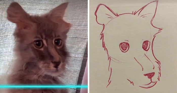 Time-Warp-Scan-Dogs-Cats-Drawing