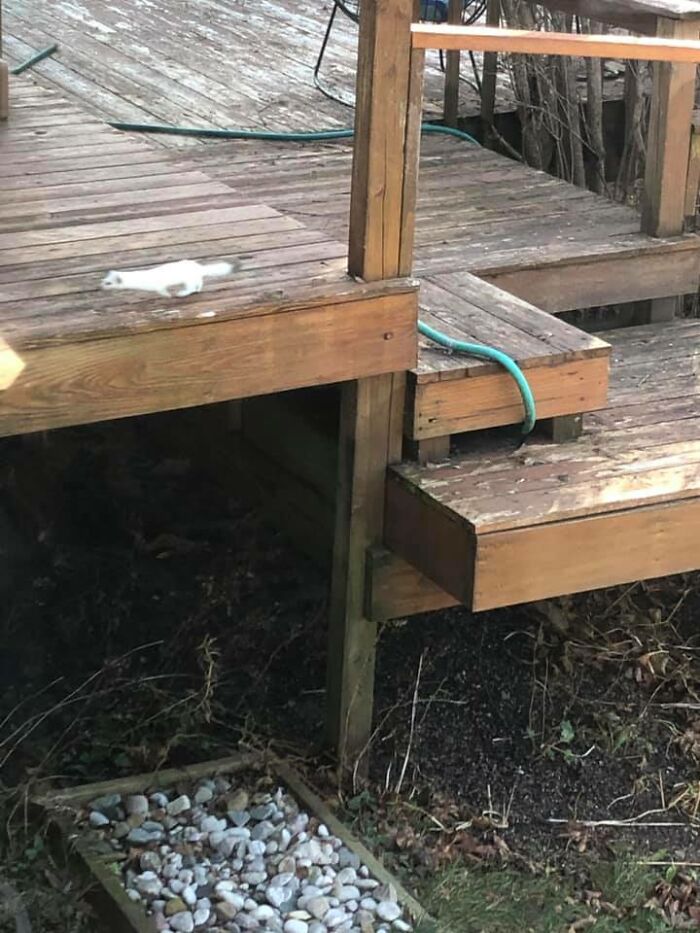 In My Defense, He Was A Fast Little Bugger.