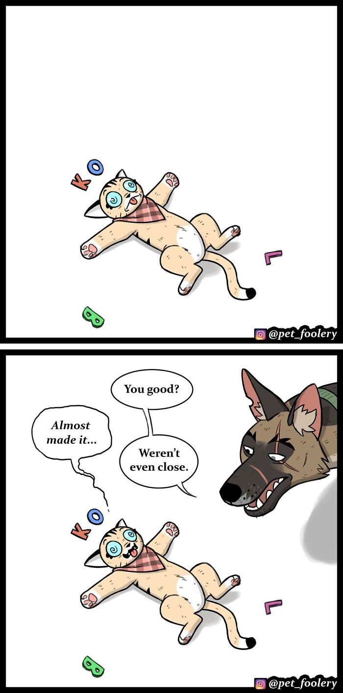 15 New Hilariously Adorable Comics About Brutus And Pixie To Instantly Make Your Day