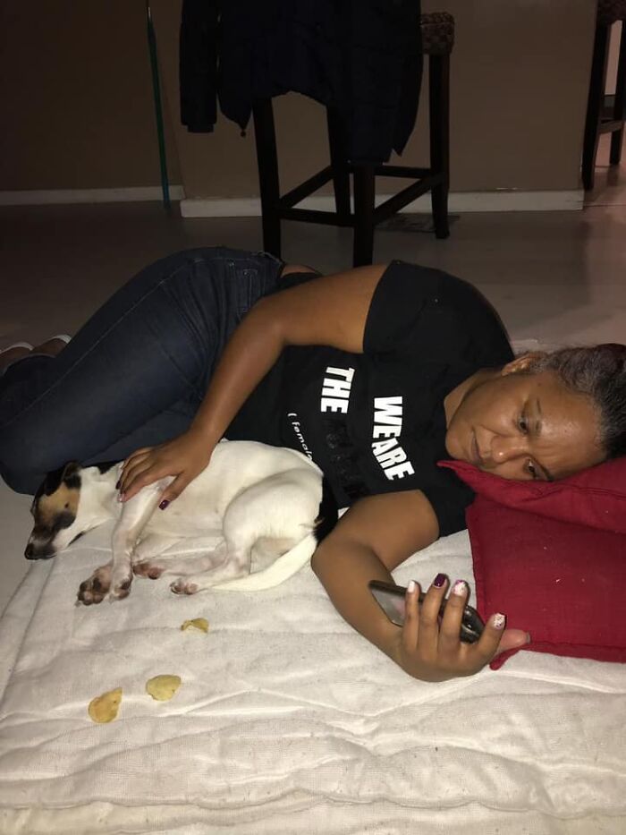 Didnt-Want-A-Dog-Challenge