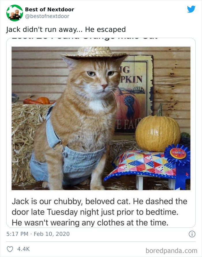 Neighbours-Nextdoor-Tweets