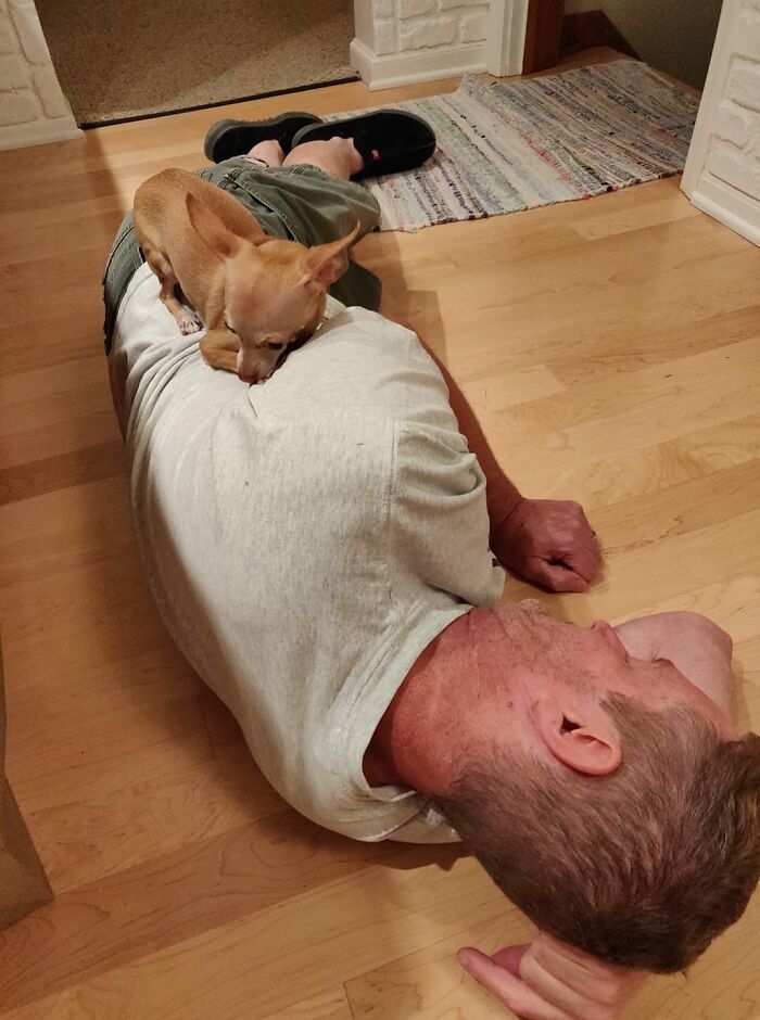 Didnt-Want-A-Dog-Challenge