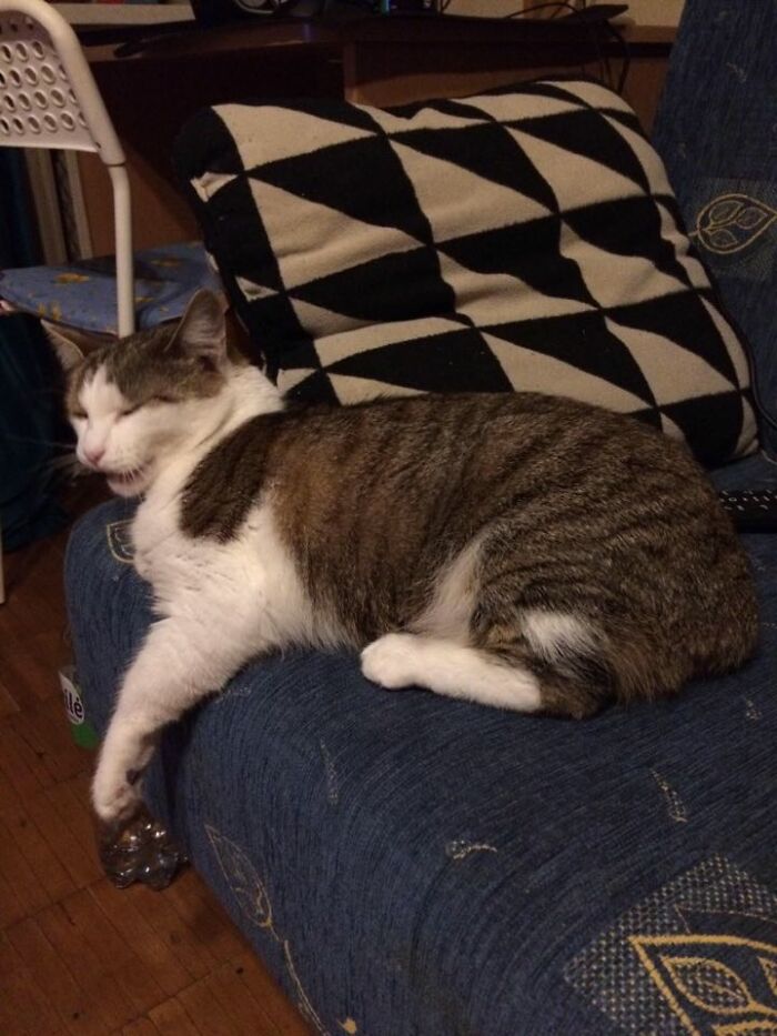 She Looks Like One Of Those "You're Drunk, Go Home" Memes