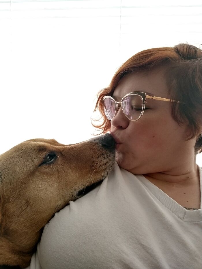 Didnt-Want-A-Dog-Challenge