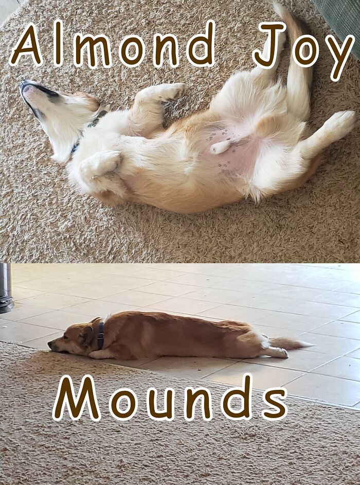 Almond Joy's Got Nuts