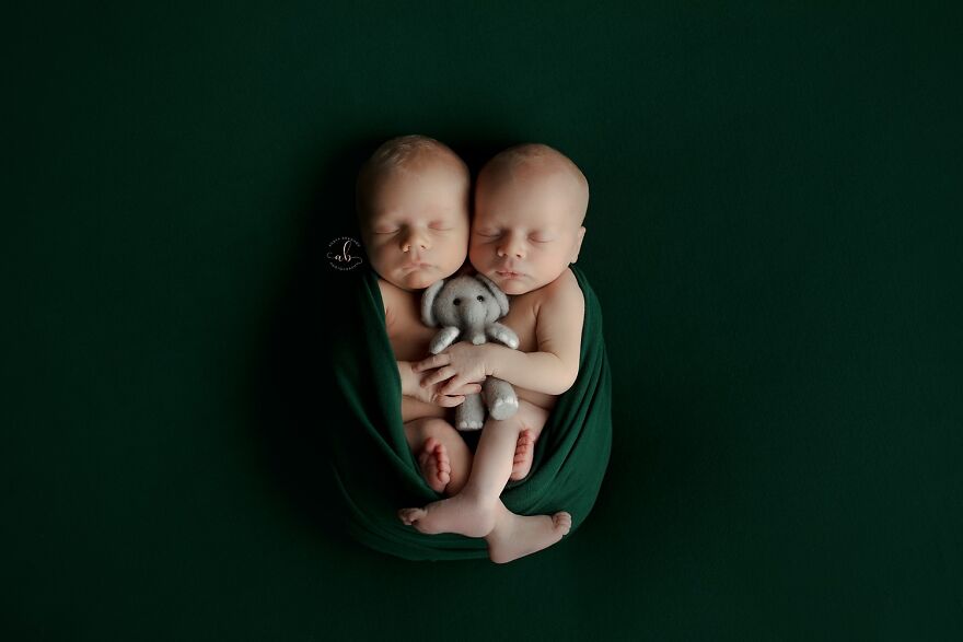 Newborn Babies In Studio