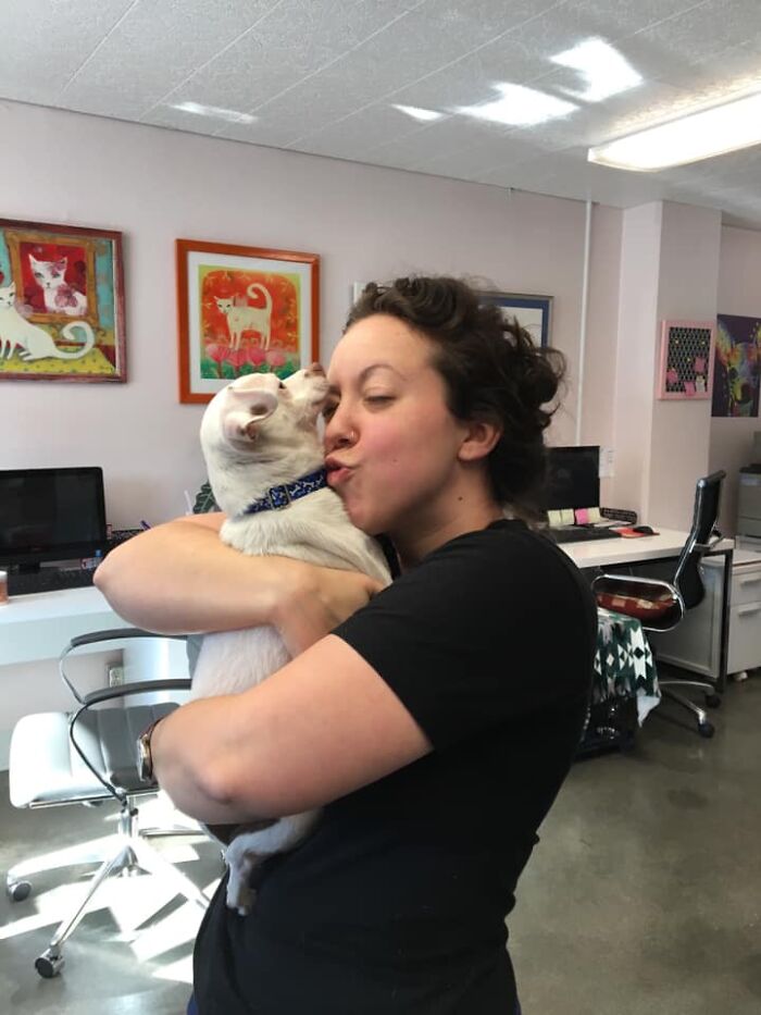 Didnt-Want-A-Dog-Challenge