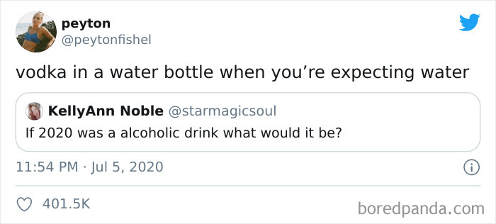 If-2020-Was-Meme-Joke