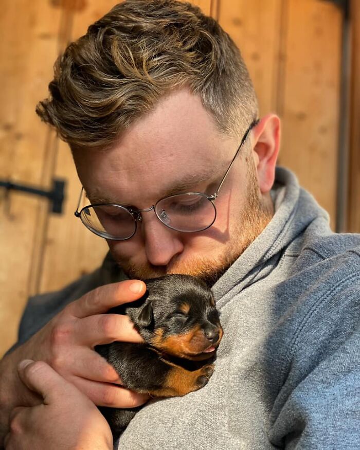 Didnt-Want-A-Dog-Challenge