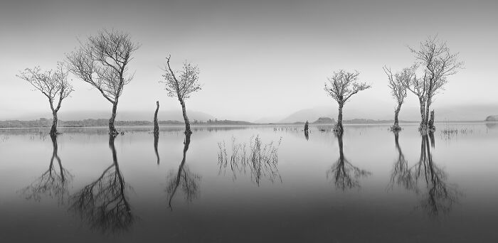 Epson-International-Pano-Awards-Winners-2020