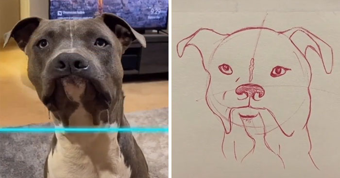 Time-Warp-Scan-Dogs-Cats-Drawing