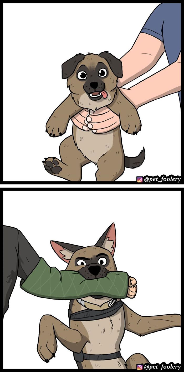 15 New Hilariously Adorable Comics About Brutus And Pixie To Instantly Make Your Day