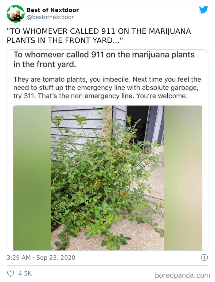 Neighbours-Nextdoor-Tweets