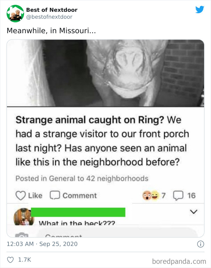 Neighbours-Nextdoor-Tweets