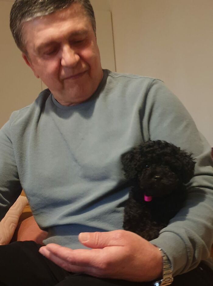 Didnt-Want-A-Dog-Challenge