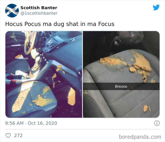 Ladies And Gentlemen. A Great Welcome