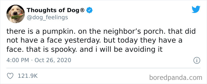 Hilarious-Dog-Thoughts-Tweets