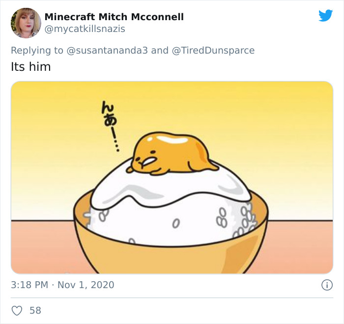 Extremely Rare Albino Turtle Was Found In India And It Looks Like A Slice Of Melted Cheese