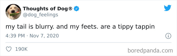 Hilarious-Dog-Thoughts-Tweets