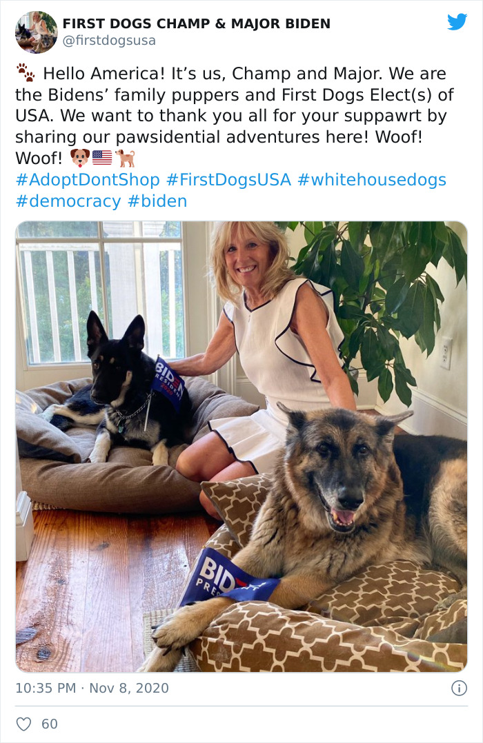 Joe Biden’s Dogs Have Twitter And Instagram Accounts And The Content Is Wholesome Joe Biden’s Dogs Have Twitter And Instagram Accounts And The Content Is Wholesome