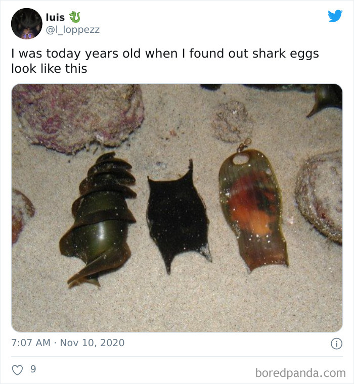 People-Share-Today-I-Learned-Interesting-Facts