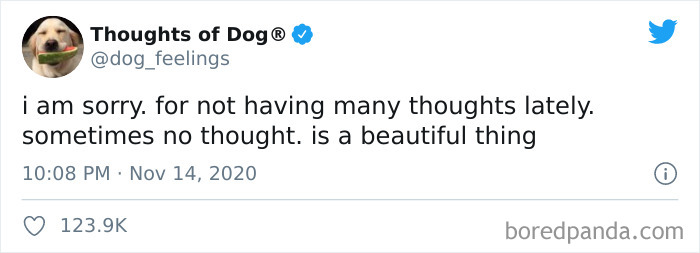 Hilarious-Dog-Thoughts-Tweets
