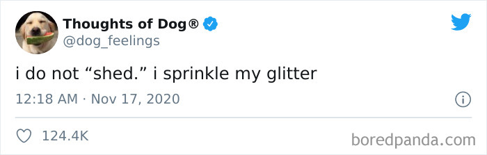 Hilarious-Dog-Thoughts-Tweets