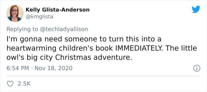 Workers Who Transported This Year's Rockefeller Christmas Tree Found A Tiny Owl Tucked Inside It