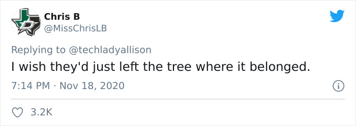 Workers Who Transported This Year's Rockefeller Christmas Tree Found A Tiny Owl Tucked Inside It