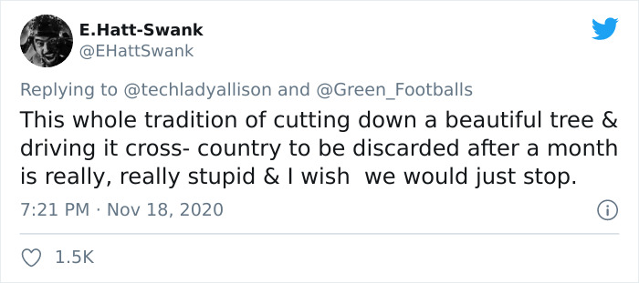 Workers Who Transported This Year's Rockefeller Christmas Tree Found A Tiny Owl Tucked Inside It