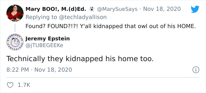 Workers Who Transported This Year's Rockefeller Christmas Tree Found A Tiny Owl Tucked Inside It