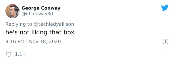 Workers Who Transported This Year's Rockefeller Christmas Tree Found A Tiny Owl Tucked Inside It