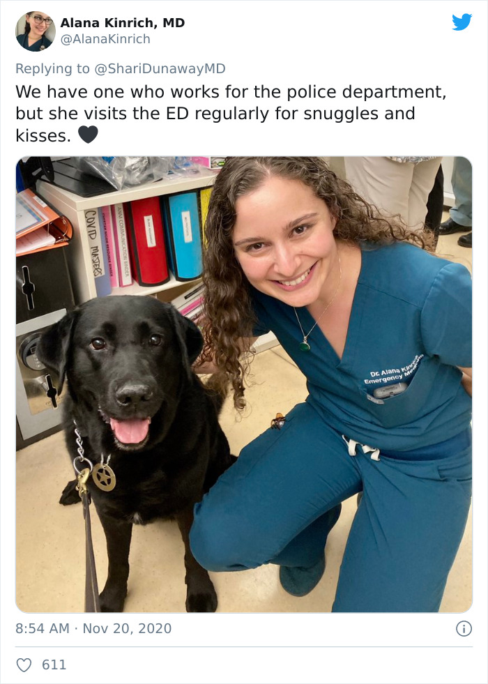 Hospital Hired A Dog Employee Whose Only Job Is To Go Around Saying Hi To Other Employees While They Work Hospital Hired A Dog Employee Whose Only Job Is To Go Around Saying Hi To Other Employees While They Work
