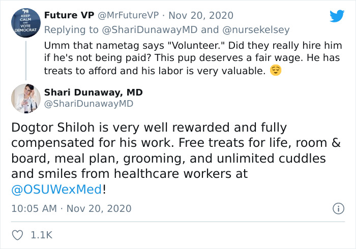 Hospital Hired A Dog Employee Whose Only Job Is To Go Around Saying Hi To Other Employees While They Work Hospital Hired A Dog Employee Whose Only Job Is To Go Around Saying Hi To Other Employees While They Work