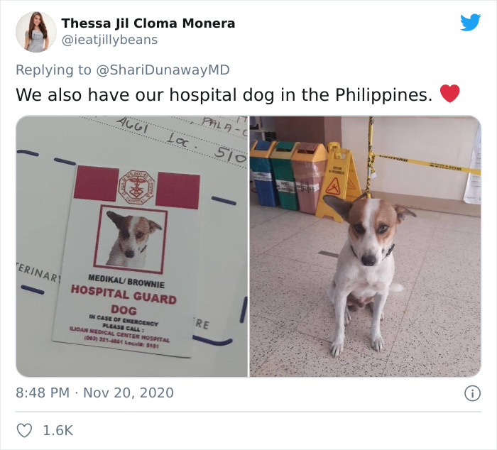 Hospital Hired A Dog Employee Whose Only Job Is To Go Around Saying Hi To Other Employees While They Work Hospital Hired A Dog Employee Whose Only Job Is To Go Around Saying Hi To Other Employees While They Work