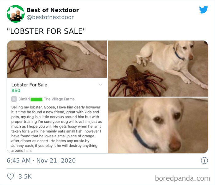 Neighbours-Nextdoor-Tweets