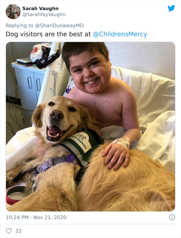 Hospital Hired A Dog Employee Whose Only Job Is To Go Around Saying Hi To Other Employees While They Work Hospital Hired A Dog Employee Whose Only Job Is To Go Around Saying Hi To Other Employees While They Work