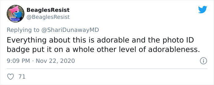 Hospital Hired A Dog Employee Whose Only Job Is To Go Around Saying Hi To Other Employees While They Work Hospital Hired A Dog Employee Whose Only Job Is To Go Around Saying Hi To Other Employees While They Work