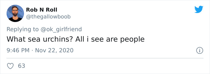 Turns Out, Sea Urchins Like To Use Shells As Hats, So People 3D-Print Them Some Cool Ones Turns Out, Sea Urchins Like To Use Shells As Hats, So People 3D-Print Them Some Cool Ones