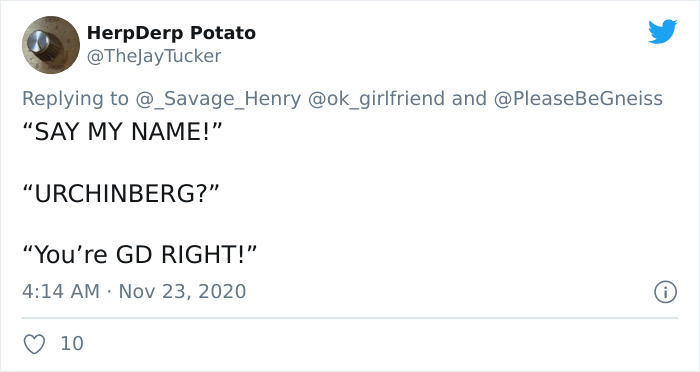 Turns Out, Sea Urchins Like To Use Shells As Hats, So People 3D-Print Them Some Cool Ones Turns Out, Sea Urchins Like To Use Shells As Hats, So People 3D-Print Them Some Cool Ones