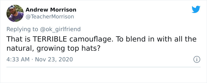 Turns Out, Sea Urchins Like To Use Shells As Hats, So People 3D-Print Them Some Cool Ones