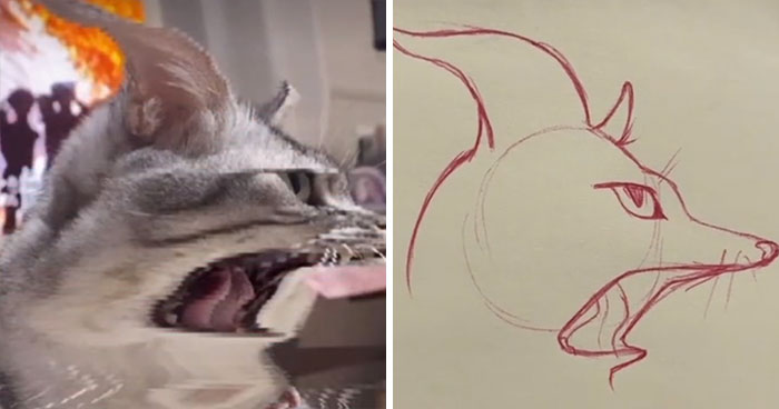 Time-Warp-Scan-Dogs-Cats-Drawing