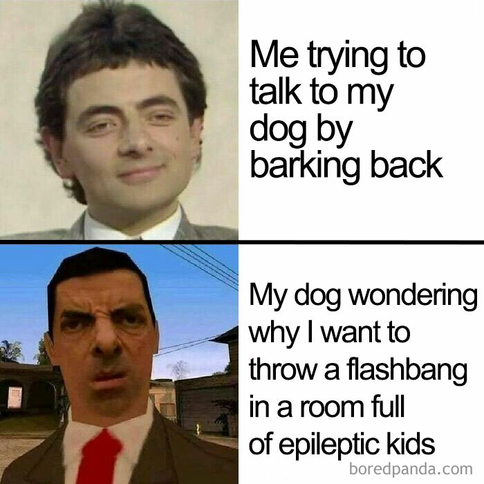 Funny dog meme with two expressions portraying a conversation between a person barking and a puzzled dog.