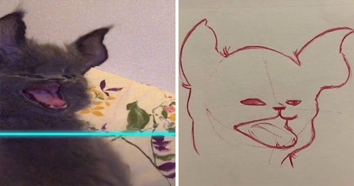 Time-Warp-Scan-Dogs-Cats-Drawing