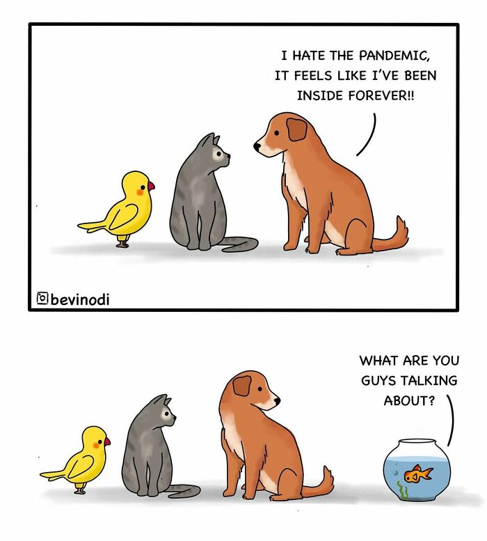 Animal-Comics-Bevinodi-Rajnik-Patel