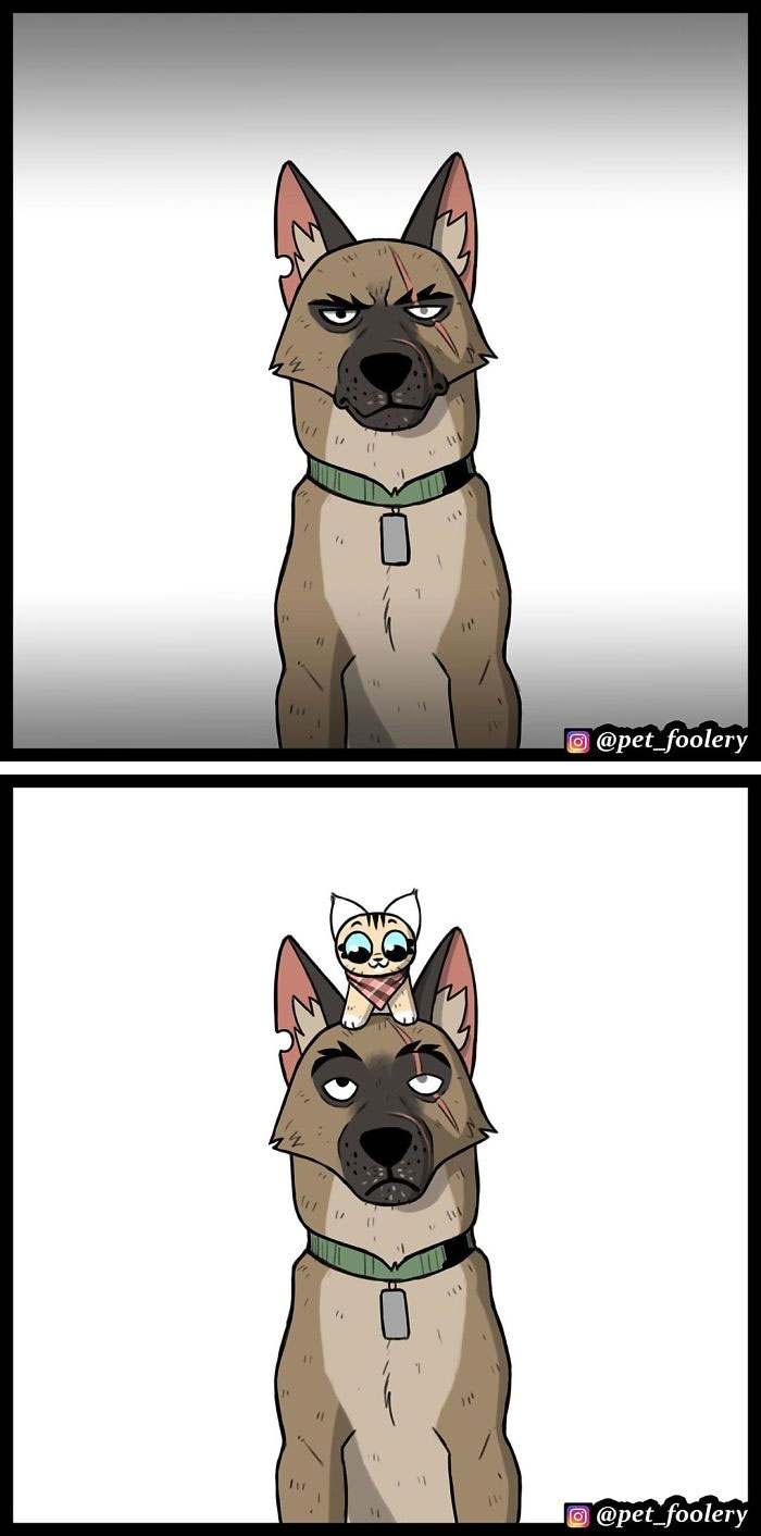 15 New Hilariously Adorable Comics About Brutus And Pixie To Instantly Make Your Day 15 New Hilariously Adorable Comics About Brutus And Pixie To Instantly Make Your Day