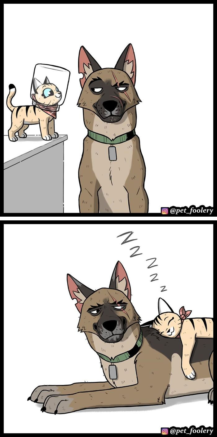 15 New Hilariously Adorable Comics About Brutus And Pixie To Instantly Make Your Day 15 New Hilariously Adorable Comics About Brutus And Pixie To Instantly Make Your Day