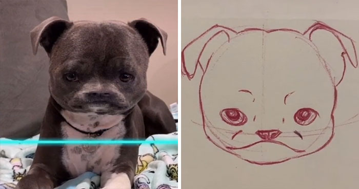 Time-Warp-Scan-Dogs-Cats-Drawing