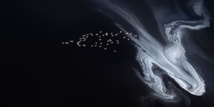 Epson-International-Pano-Awards-Winners-2020