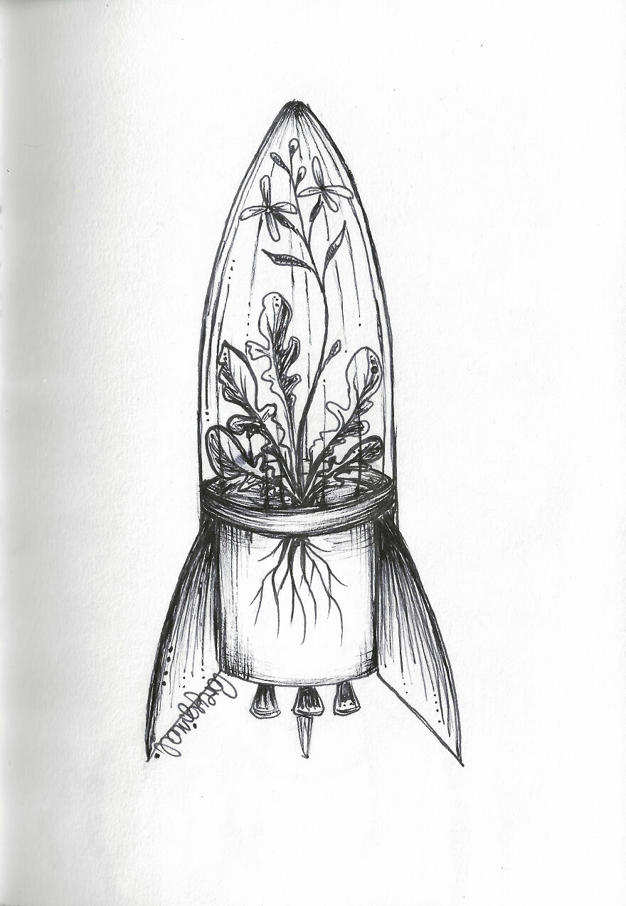 Day 16 - Rocket